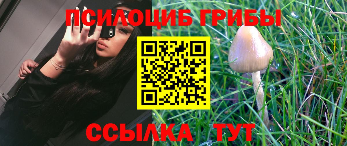 Псилоцибиновые грибы Magic Shrooms Воскресенск